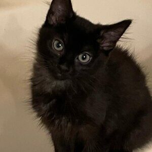 Meet your Posher, Mae